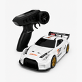 ODC Sports Series GTR RC Car (1:24)